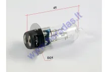 Lemputė keturračio motociklo M5 12V 25/25W