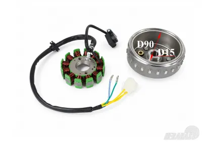 Magnet, COIL 12 POLES, motorcycle FR50 Magnet, COIL 12 POLES, motorcycle FR50