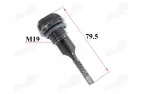 Oil dipstick for ATV quad bike, motorcycle, moped 50cc 70cc 120cc fits CHAMP DELTA, CHAMP MONTANA