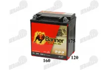 Motociklo akumuliatorius 12V 30Ah 385A Banner Bike Bull GEL BGTX30-3 GEL 53001 168x127x177mm