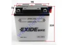 BATTERY EXIDE 6V 6N6-3B-1