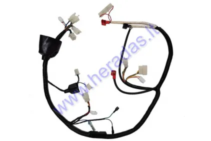 WIRING ASSEMBLY (WIRE HARNESS) FOR MOTORCYCLE 230-250cc FITS MOTOLAND MTL250