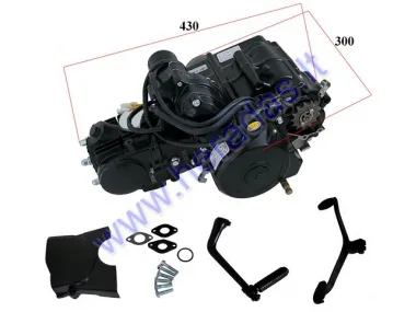 Motorcycle, moped engine four-stroke 139FMA 48cc 4-rail air-cooled, manual gearbox, electric and foot starter fits CHAMP MONTANA