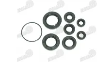 Motociklo riebokšlių komplektas 300cc NXT300 CBS300 ZS174MN-3