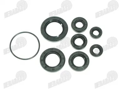 Motociklo riebokšlių komplektas 300cc NXT300 CBS300 ZS174MN-3