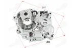 Motociklo variklio blokas kairės pusės  oras 200-250 cc 165FMM MOTOLAND MTL250 SHINERAY NXT250