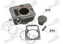 Motociklo variklio cilindro komplektas 175FMN TINKA CHAMPION 300 CH300