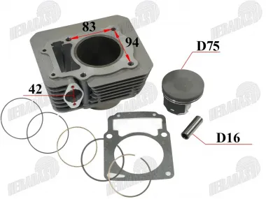 Motociklo variklio cilindro komplektas 175FMN TINKA CHAMPION 300 CH300