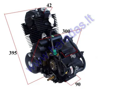 Motociklo variklis Shineray keturtaktis 250cc 5 bėgiai oru aušinamas 169FMM Tinka motociklui ZUUMAV