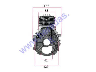 CYLINDER WITH CASE FOR 4-STROKE MOTORIZED BICYCLE ENGINES 50cc