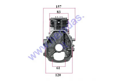 CYLINDER WITH CASE FOR 4-STROKE MOTORIZED BICYCLE ENGINES 50cc