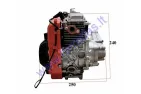 Motorinio dviračio keturtaktis variklis 4T 53cc grandininė pavara (pilasi grynas benzinas) komplektas 144F-1G  1.6kw