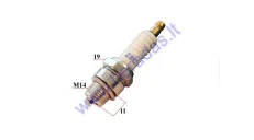 SPARK PLUG FOR MOTORIZED BICYCLE 50/80/100cc 2 STROKE ENGINE