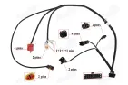 Motorolerio, skuterio ECU laidai tinka RUBI50, FLASH50