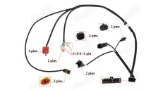 Motorolerio, skuterio ECU laidai tinka RUBI50, FLASH50
