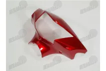 Plastikinė apdaila priekinio žibinto tinka RUBI50