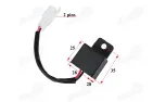Rėlė posūkių motociklo keturračio motorolerio  2 kontaktų LED 12V DC AC 1-100W