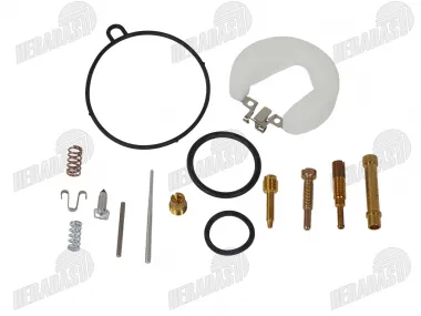 Remontinis komplektas karbiuratoriui PZ19