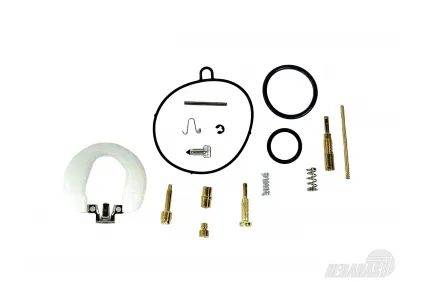 Repair kit for carburetor PZ19 Repair kit for carburetor PZ19