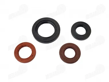 OIL SEALS SET 27/42/7 16,4/30/5 19,8/30/5 17/30/6