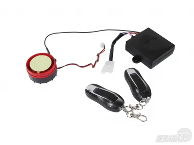 Alarm system for quad bike