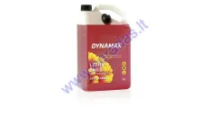 Skystis langams DYNAMAX SUMMER FOREST FRUIT 5L