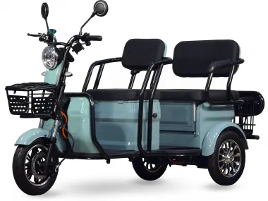 Triratis DVIVIETIS elektrinis motoroleris, vežimėlis, skuteris PRAKTIK2 1000W 72V 20AH