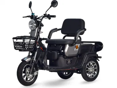 Triratis elektrinis motoroleris, vežimėlis, skuteris  A6 60V 20AH 800Wat PRAKTIK1 dideli 10 colių ratai