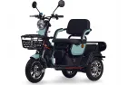 Triratis elektrinis motoroleris, vežimėlis, skuteris  A6 60V 30AH Grafeno 800Wat PRAKTIK1  dideli 10 colių ratai