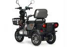 Triratis elektrinis motoroleris, vežimėlis, skuteris  A6 60V 30AH Grafeno 800Wat PRAKTIK1  dideli 10 colių ratai
