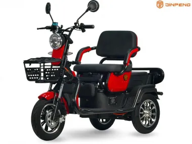 Three-wheel electric scooter, mobility scooter A6 60V 20AH 800Wat PRAKTI51 10 inches tires (Please contact for the sending terms and price: parduotuve@heradas.lt)