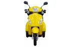 Triratis elektrinis motoroleris, vežimėlis, skuteris  Electron MS03 60V 30AH Grafeno 1000Wat