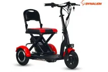 ELECTRIC TRIKE SCOOTER, MOBILITY SCOOTER 36V 300W (PLEASE CONTACT FOR THE SENDING TERMS AND PRICE: PARDUOTUVE@HERADAS.LT)