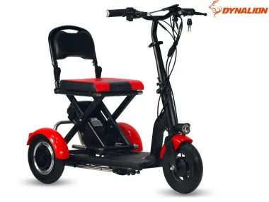 ELECTRIC TRIKE SCOOTER, MOBILITY SCOOTER 36V 300W (PLEASE CONTACT FOR THE SENDING TERMS AND PRICE: PARDUOTUVE@HERADAS.LT)