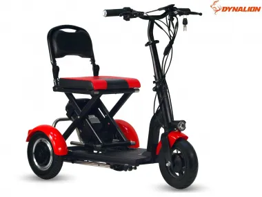 ELECTRIC TRIKE SCOOTER, MOBILITY SCOOTER 48V 2x 300W LIGHT (2 engines 300W) (PLEASE CONTACT FOR THE SENDING TERMS AND PRICE: PARDUOTUVE@HERADAS.LT)