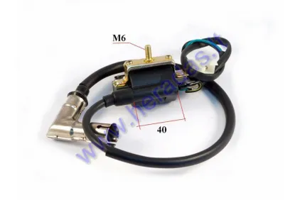 Ignition coil for ATV quad bike