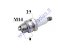 SPARK PLUG FOR BRUSH CUTTER