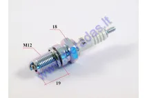 Spark plug for motorcycle D8EA 2120 NGK