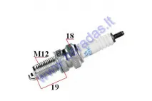 Spark plug for motorcycle DPR9EA-9 5329 NGK