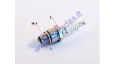 Spark plug for motorcycle, motorized bicycle B8HS 5510 NGK