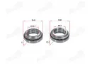 Steering wheel bearings (bearing) for motorcycle, moped 22.5/41/12 24/41/12.5 fits CHAMP DELTA