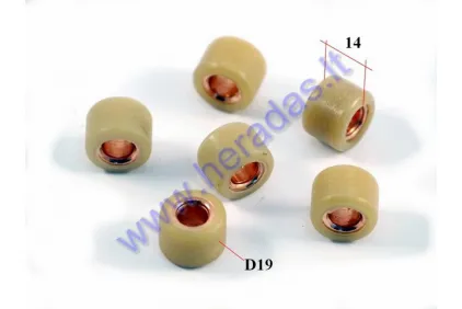 Variator roller set 6pc 19x14 13g