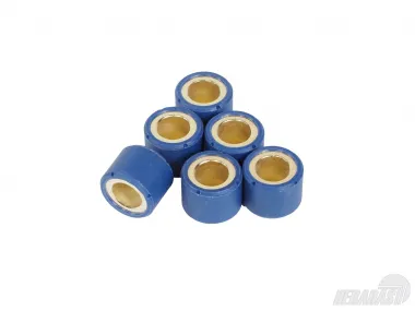 Variator Weights, Set of 6 pcs. 23x18 25g