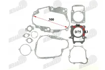 Variklio tarpinių komplektas oru aušinamam motociklui 300cc 175FMN D75 tinka CHAMPION 300CC CH300