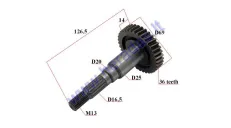 Gearbox drive shaft (transmission) for scooter L126,5 ADLY 36 tooth 23430-116-000