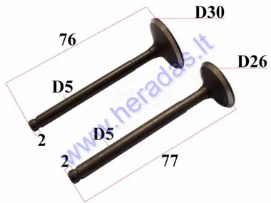 Valve set intake+exhaust 190cc for motorcycle ZS190 W190 H77 H76