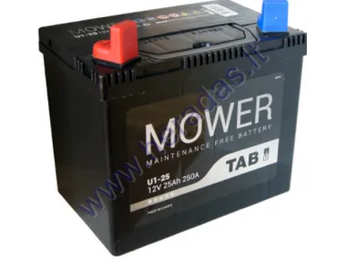 Žoliapjovės akumuliatorius TAB GARDEN U1 12V 25Ah 250A Idealus pasirinkimas vėjapjovėms su standartine elektros įrangaIlgis: 196 mm Plotis: 127 mm Aukštis: